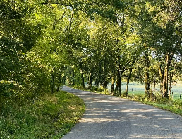 The Hopestead Bed & Breakfast hotel detail image 1
