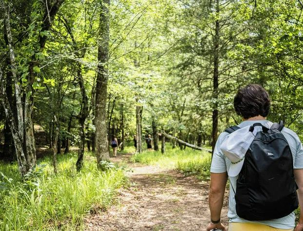 Destination Resort hotel detail image 4