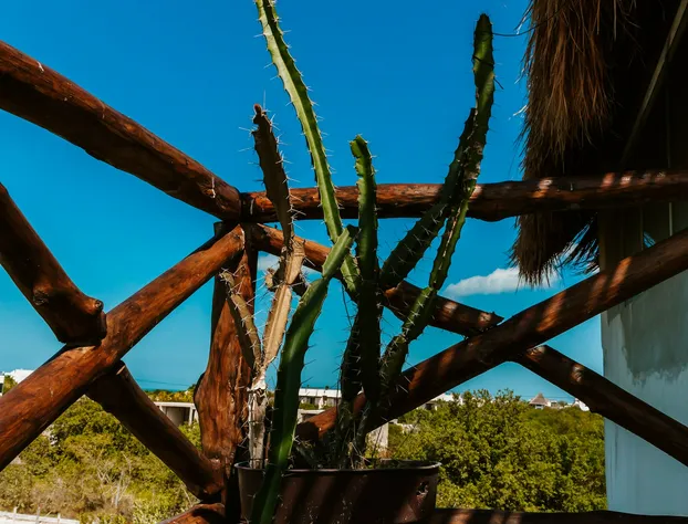 Casa Poeta Punta Cocos hotel detail image 3