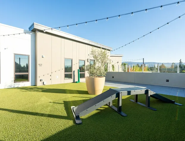 MV Apartments hotel detail image 2