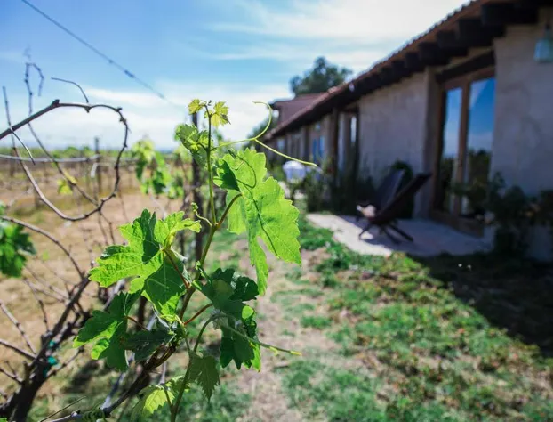 Hotel de Tierra de Alonso hotel detail image 4