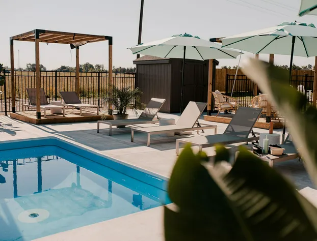 The Kiwi Motel hotel detail image 3