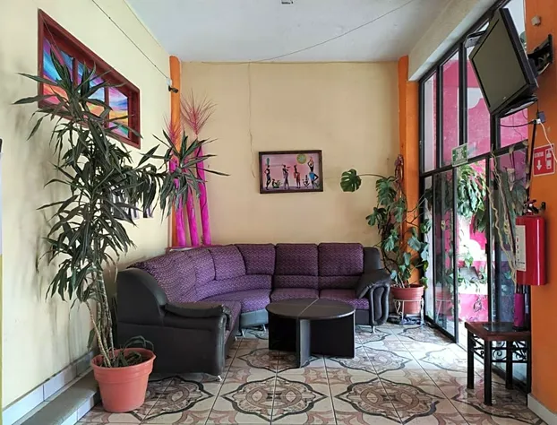 OYO Hotel Olhe,Chignahuapan,Museo Mexicano del Axolote MUMAX hotel detail image 3