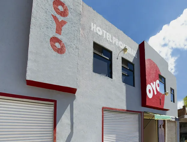 OYO Promenade hotel detail image 1