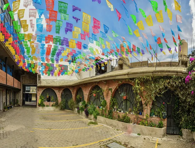 OYO Casa Vieja,Ciudad Serdán,Museo La Magnolia hotel detail image 2