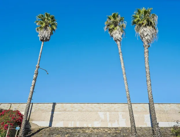 Smarter Bed And Breakfast hotel detail image 4