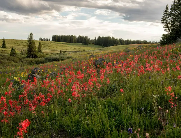 Grand Mesa Lodge hotel detail image 4