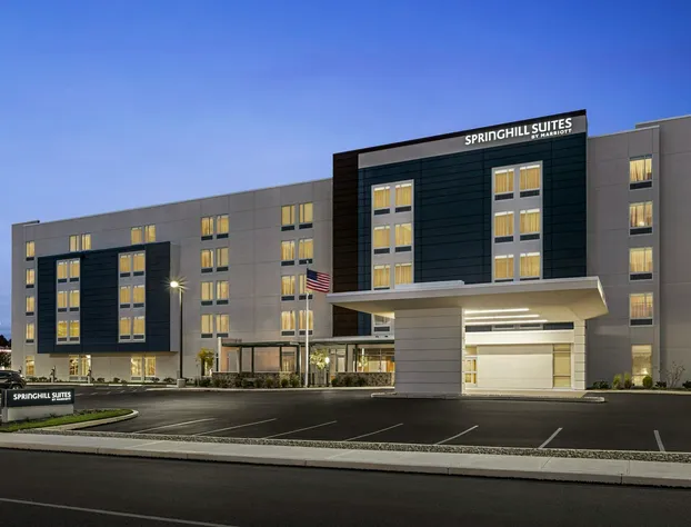 SpringHill Suites by Marriott Camp Hill hotel detail image 2