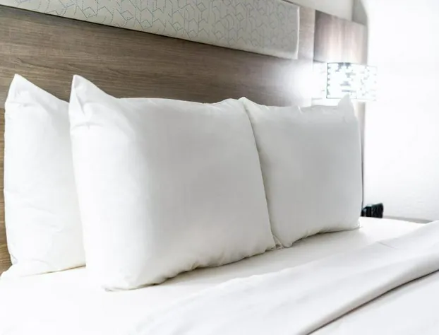 Holiday Inn Express & Suites Phoenix - Mesa West by IHG hotel detail image 4