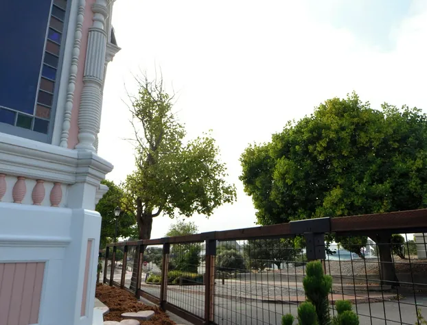 Pinc Lady Mansion hotel detail image 1