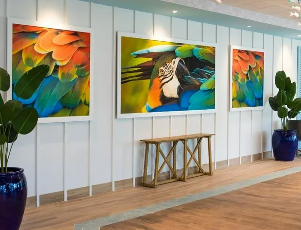 Margaritaville Beach Resort South Padre Island hotel detail image 2