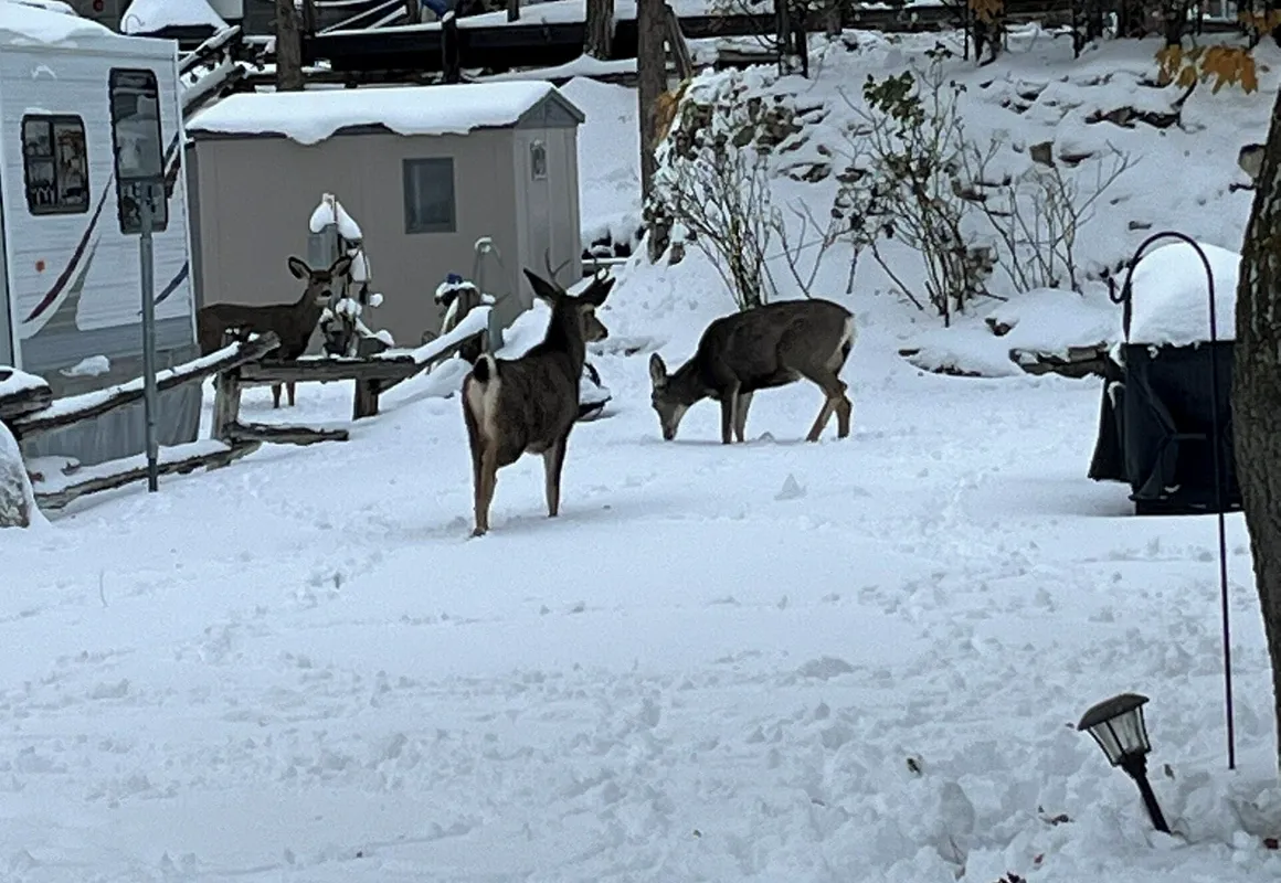 The River Rue RV Park hotel hero