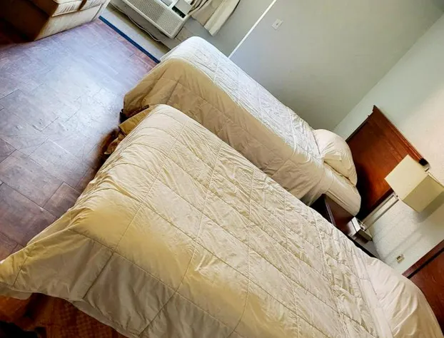 Metro Inn & Suites hotel detail image 3