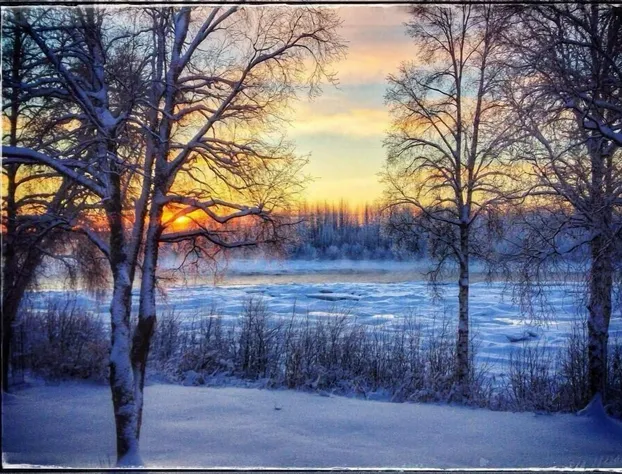 Lodge Suites at Susitna River Lodge hotel detail image 4