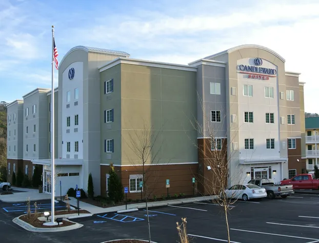 TownePlace Suites by Marriott Birmingham South hotel detail image 2