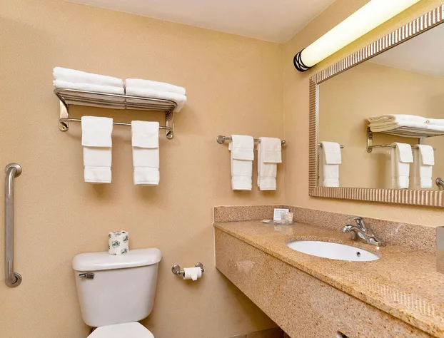 Executive Inn & Suites hotel detail image 3