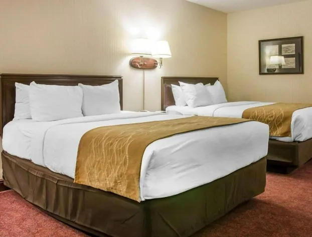 Canberra Premiere Comfort Hotel hotel detail image 3