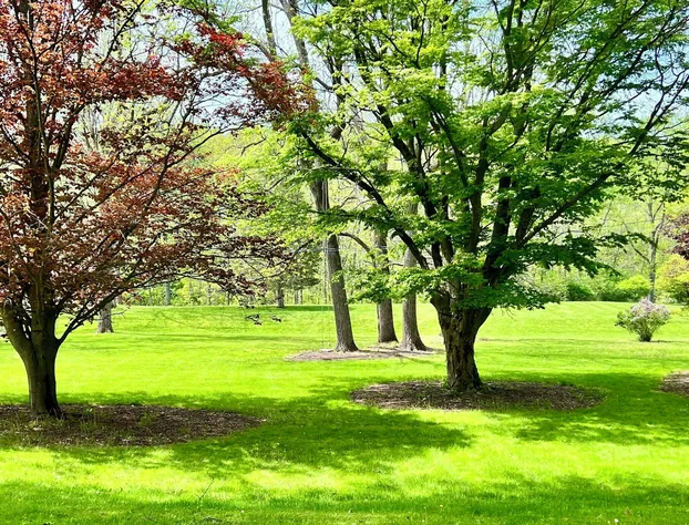 Stratton Creek Inn hotel detail image 3