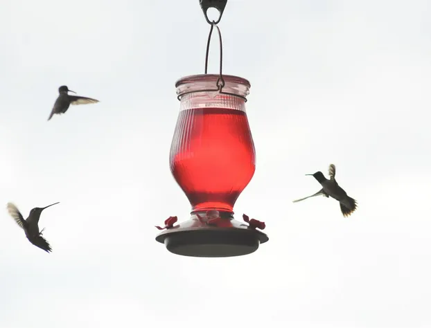 Teepee Lodge with Equus & Firearms/ranch hotel detail image 2