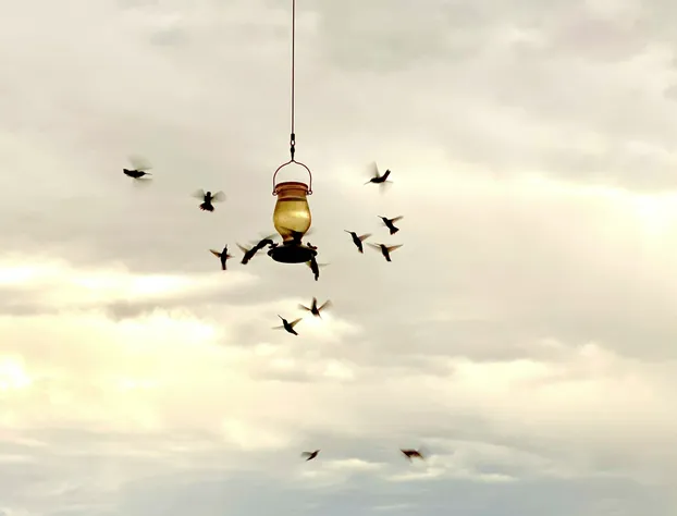 Teepee Lodge with Equus & Firearms/ranch hotel detail image 3