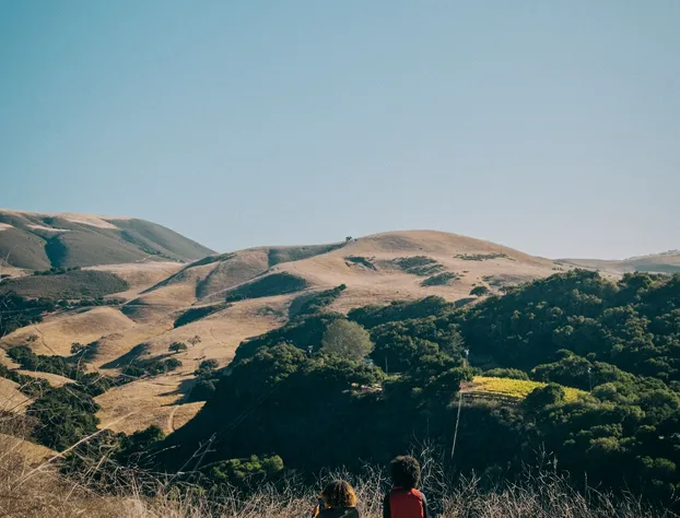 Holman Ranch Estate Vineyard & Winery hotel detail image 4
