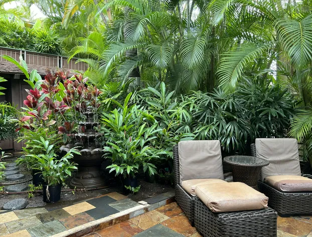 Guava Suite hotel detail image 3