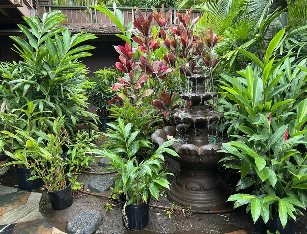 Guava Suite hotel detail image 4