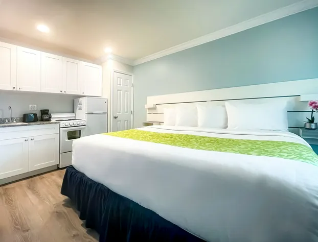 The Clevelander hotel detail image 3