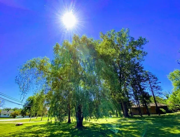 The Sanctuary On Huron River hotel detail image 4