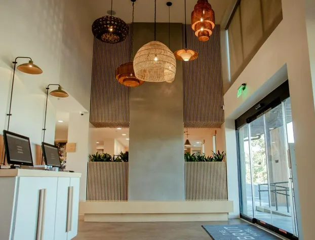 Brut Hotel hotel detail image 3