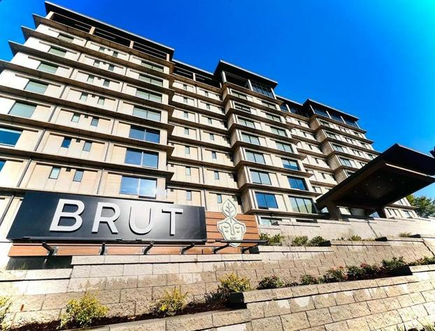 Brut Hotel hotel detail image 2