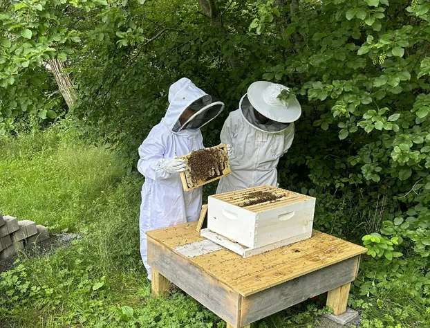 Terramor Outdoor Resort hotel detail image 4