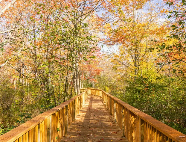 Terramor Outdoor Resort hotel detail image 3