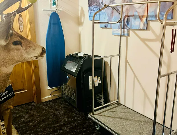 Grizzly Lodge Motel hotel detail image 3