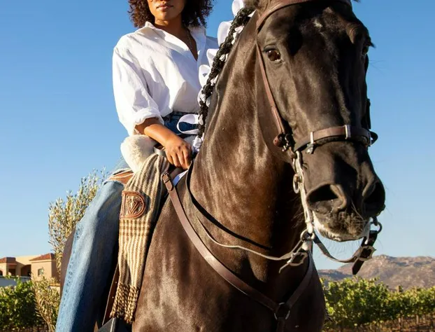 Inda Mito Glamping Resort hotel detail image 1