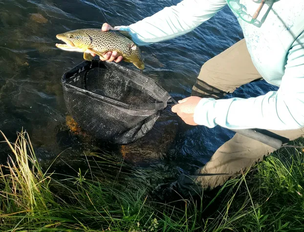 Dream Drift Motel hotel detail image 3