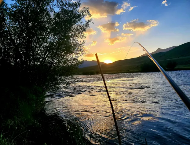 Dream Drift Motel hotel detail image 4