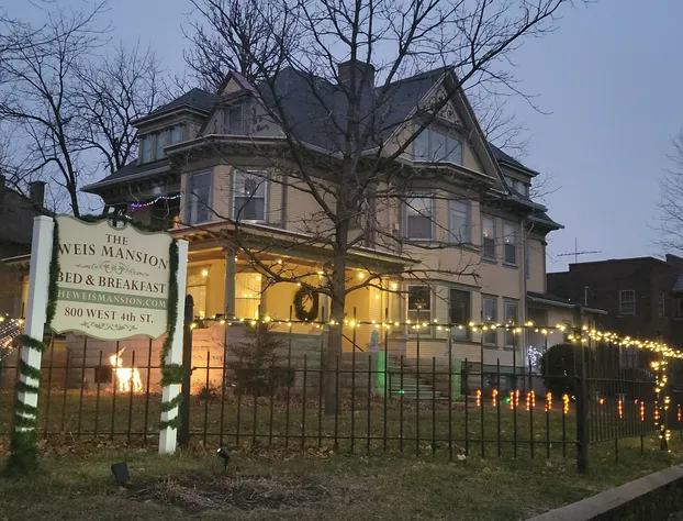 The Weis Mansion hotel detail image 1