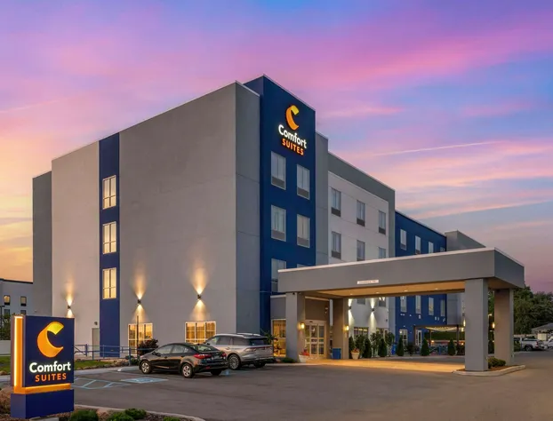 Comfort Suites hotel detail image 2