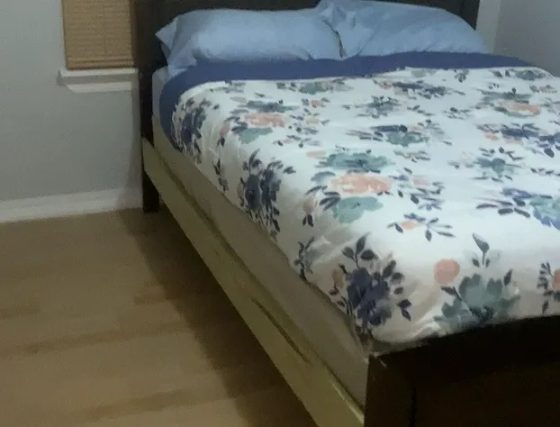 The Comfy Cozy hotel detail image 3