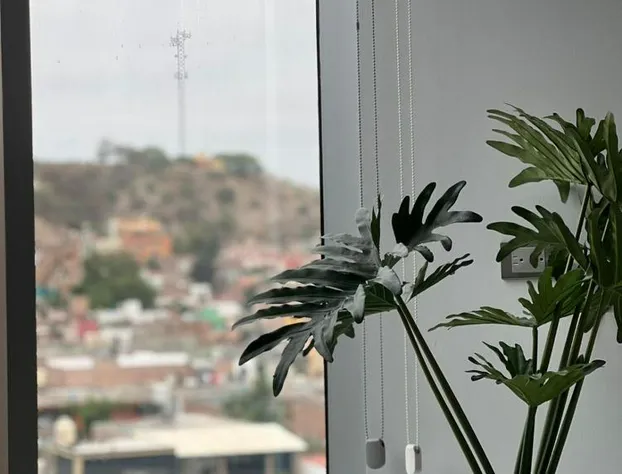 Hotel GRALTA hotel detail image 2