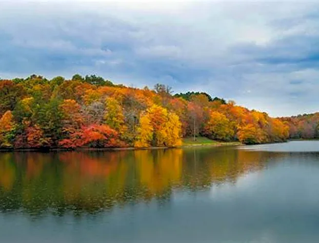 Greeter Falls Lodge Unit 2 hotel detail image 4