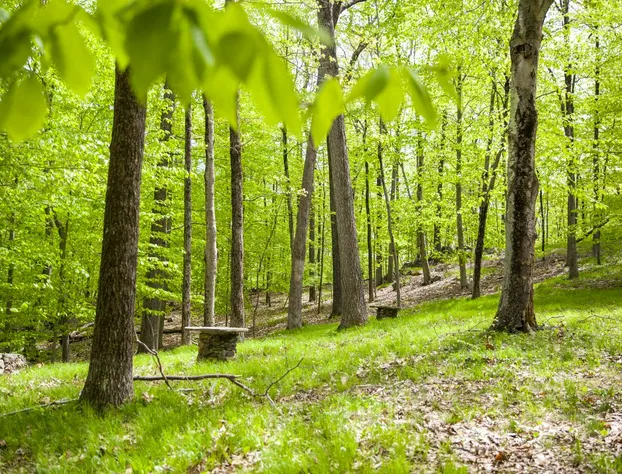 Honey Maple Grove BnB hotel detail image 3