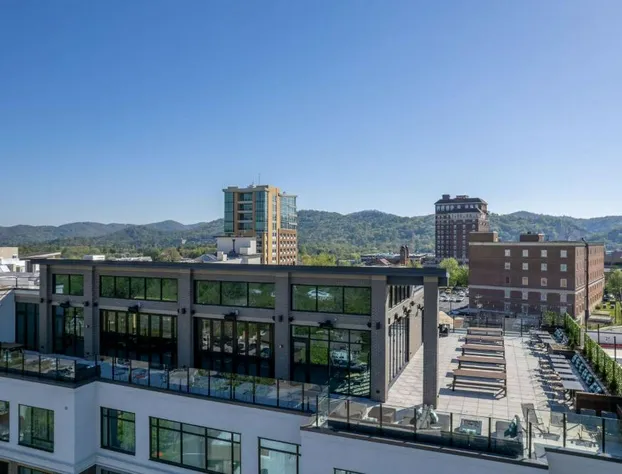 Embassy Suites By Hilton Asheville Downtown hotel detail image 2