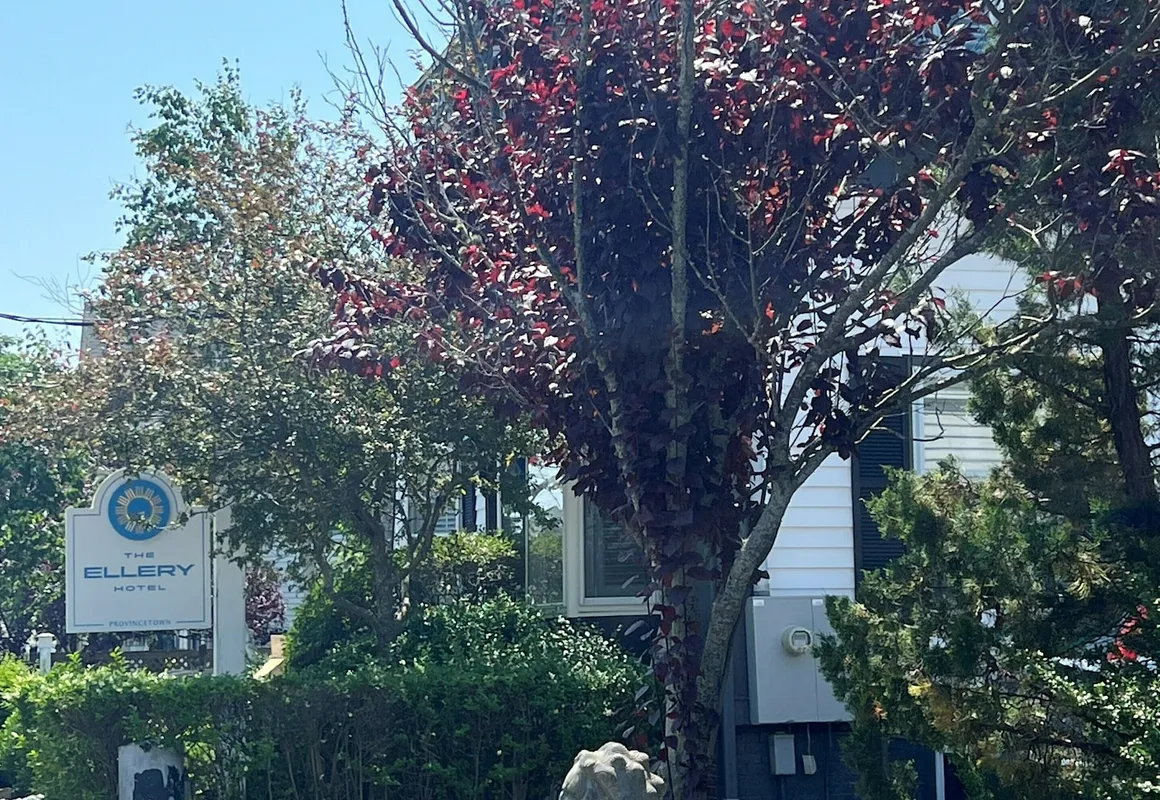 The Ellery Hotel hotel hero