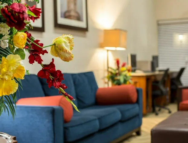 Comfort Suites Cumming-Atlanta near Northside Hospital Forsyth hotel detail image 1