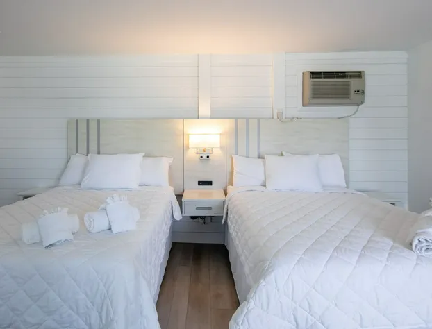 Lily & Bloom hotel detail image 2