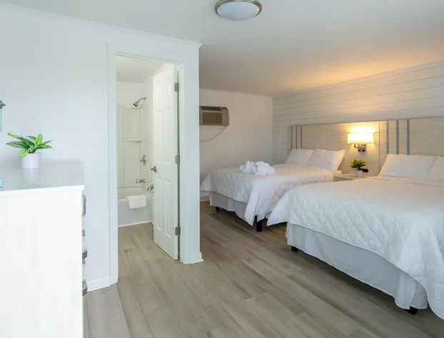 Lily & Bloom hotel detail image 3