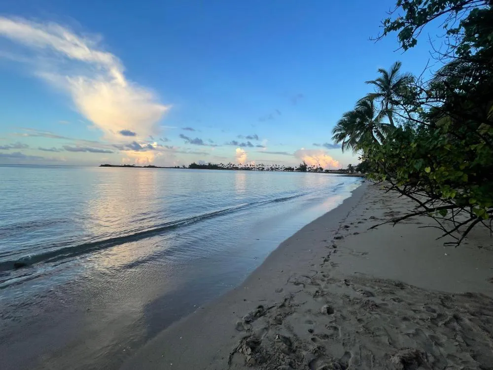 Aqua by Dreams Hotel hotel hero