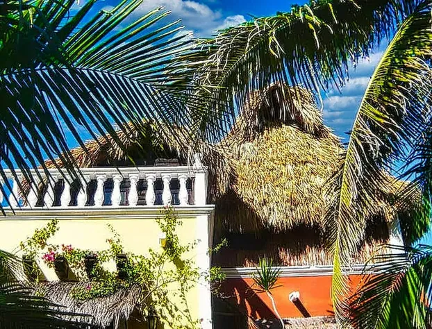 Beachfront Palapa In El Cuyo, Best Views hotel detail image 3